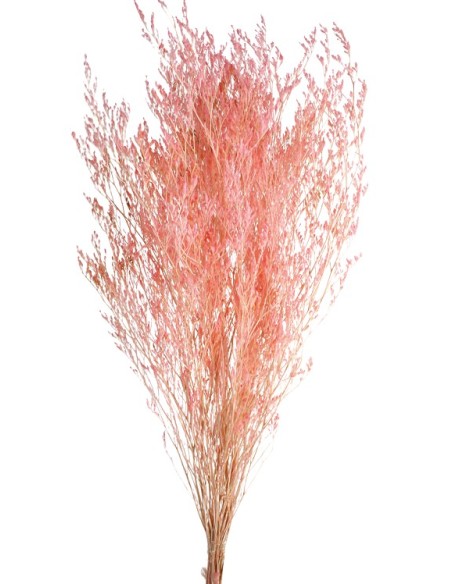 CASPIA PRESS 70 cms.  ROSA (40)