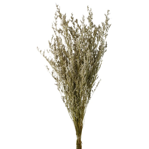 CASPIA PRESS. 70 cms. NATURAL (01)