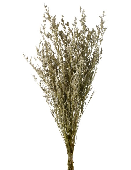 CASPIA PRESS. 70 cms. NATURAL (01)