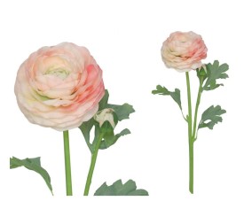 VARA RANUCULUS R/T X 2 - 47 CM (TE)