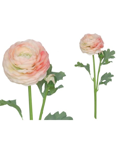 VARA RANUCULUS R/T X 2 - 47 CM (TE)