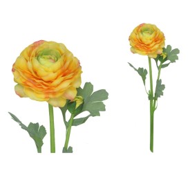 VARA RANUCULUS R/T X 2 - 47 CM (AM)