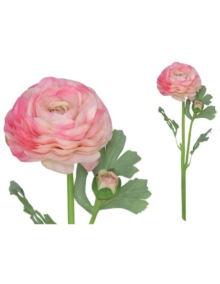 VARA RANUCULUS R/T X 2 - 47 CM (ROSA)