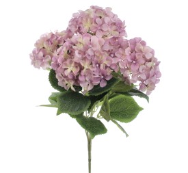 RAMO HYDRANGEAS (6453-06)
