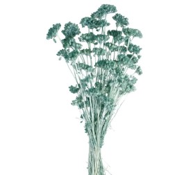 LONAS PRESS 50 cms AZUL (74)