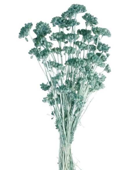 LONAS PRESS 50 cms AZUL (74)