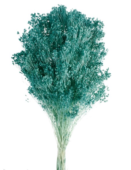 BROOMS PRESS 50 CMS AZUL( P74)