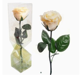 ROSA PRESERVADA TALLO CORTO CREMA