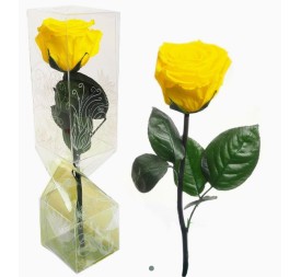 ROSA PRESERVADA TALLO CORTO AMARILLO