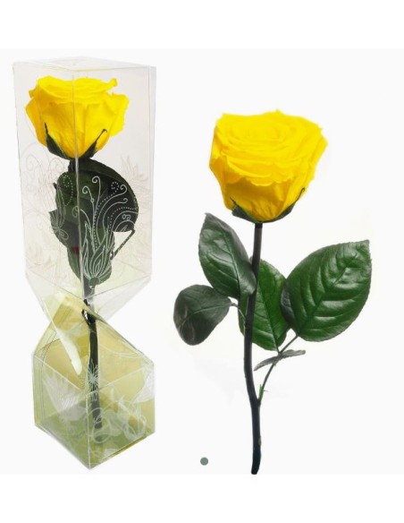 ROSA PRESERVADA TALLO CORTO AMARILLO