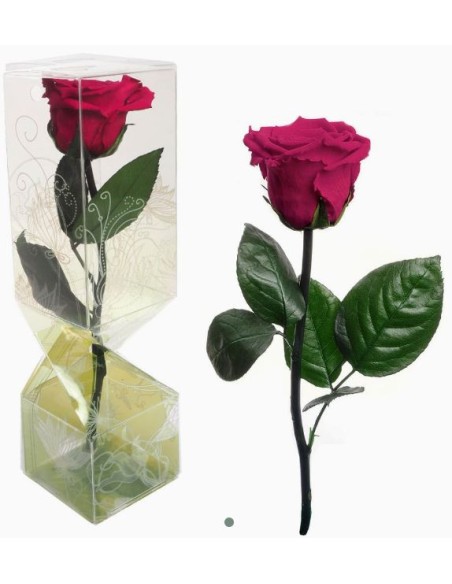 ROSA PRESERVADA TALLO CORTO CEREZA
