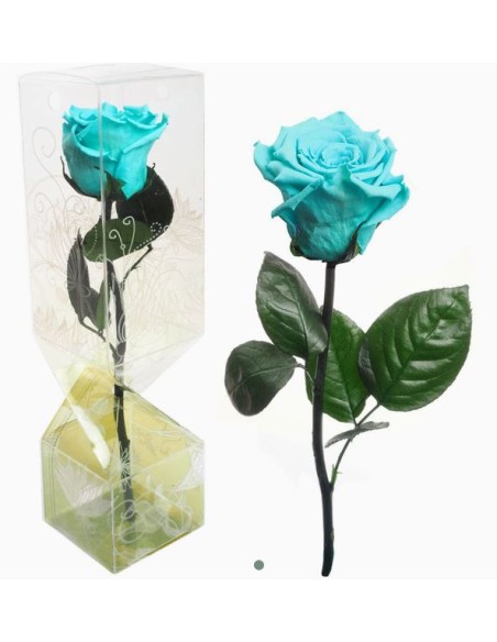 ROSA PRESERVADA TALLO CORTO AZUL TURQUESA ROSA PRESERVADA TALLO CORTO AZUL TURQUESA