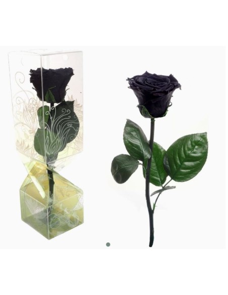 ROSA PRESERVADA TALLO CORTO NEGRO