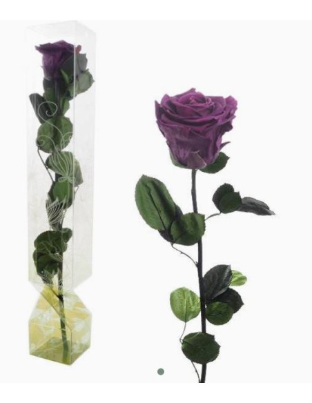 ROSA PRESERVADA TALLO LARGO VIOLETA OSCURO
