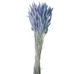 LAGURUS 60 CMS AZUL (78)