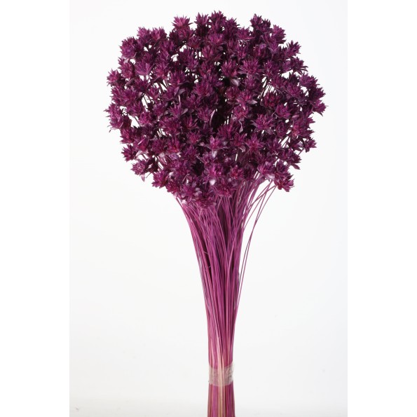 HILL FLOWER 45 cms MORADO (85)