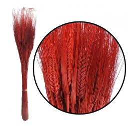 TRITICUM 80 cms ROJO (54)