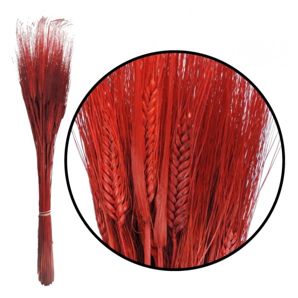 TRITICUM 80 cms ROJO (54)