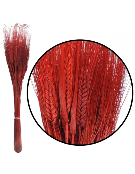 TRITICUM 80 cms ROJO (54)