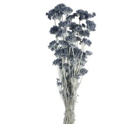 LONAS PRESS 50 cms AZUL (72)