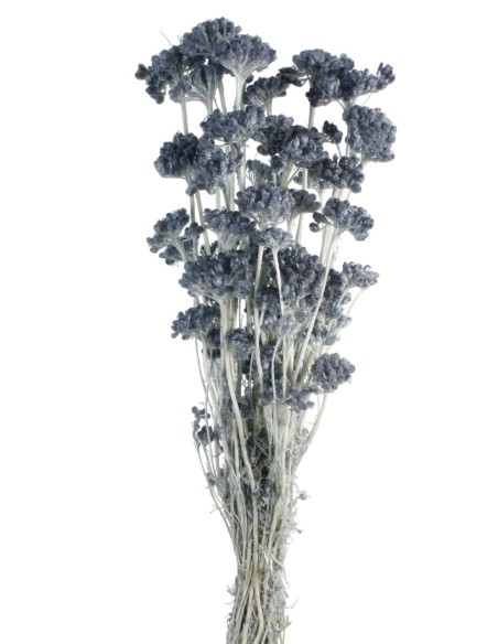 LONAS PRESS 50 cms AZUL (72)