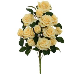 CONJUNTO ROSAS-CAP (A) X 13-51CM (BEIGE)