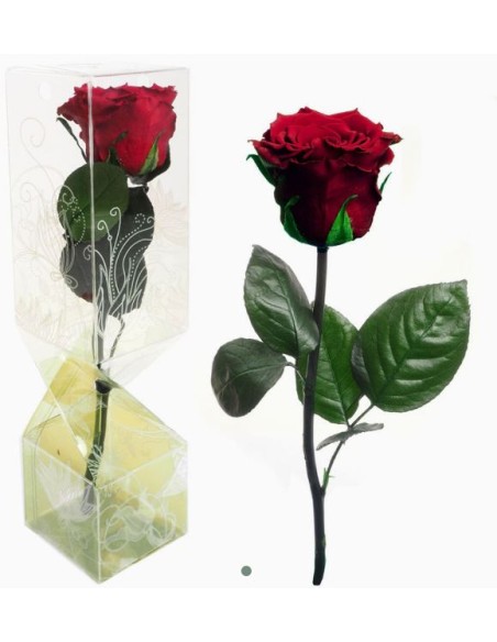 ROSA PRESERVADA TALLO CORTO BURDEOS ROSA PRESERVADA TALLO CORTO BURDEOS