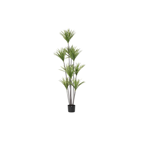 PLANTA POLIESTER PP 75X75X180 DRACENA VERDE