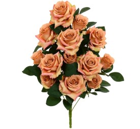 CONJUNTO ROSAS-CAP (A) X 13-51CM (CORAL)