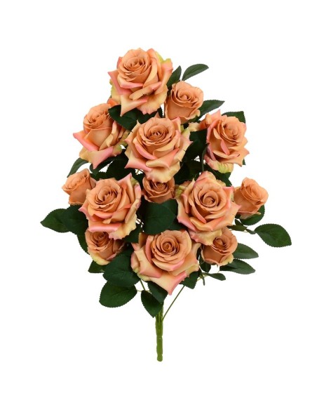 CONJUNTO ROSAS-CAP (A) X 13-51CM (CORAL)