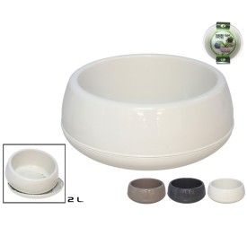 CENTRO CACTUS ELVAN 2L SURTIDO