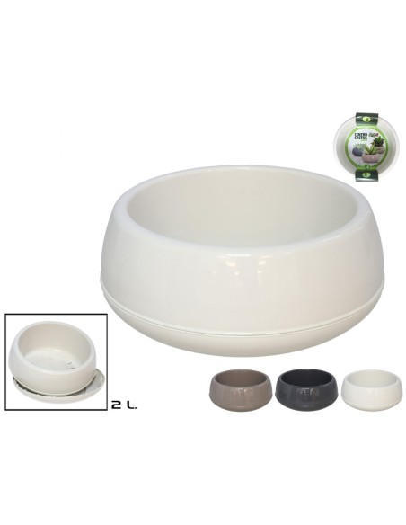 CENTRO CACTUS ELVAN 2L SURTIDO