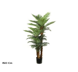 PLANTA PALMERA PHOENIX T/C X 3 -150 CM