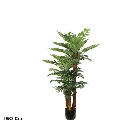 PLANTA PALMERA PHOENIX T/C X 3 -150 CM