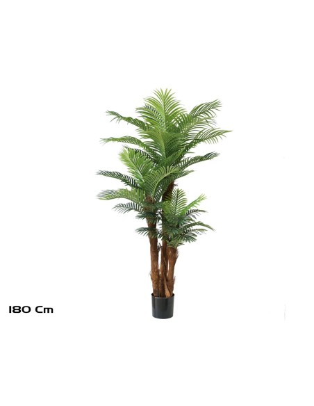 PLANTA PALMERA PHOENIX T/C X 3 -180 CM