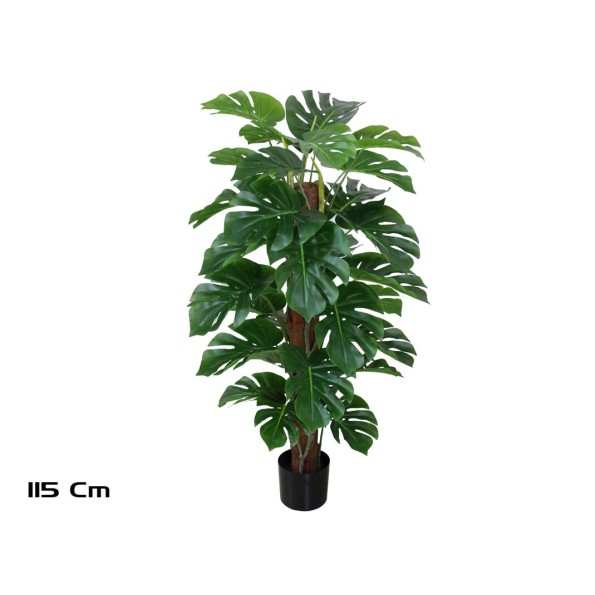 PLANTA MONSTERA X 33 T/ COCO 115 CM