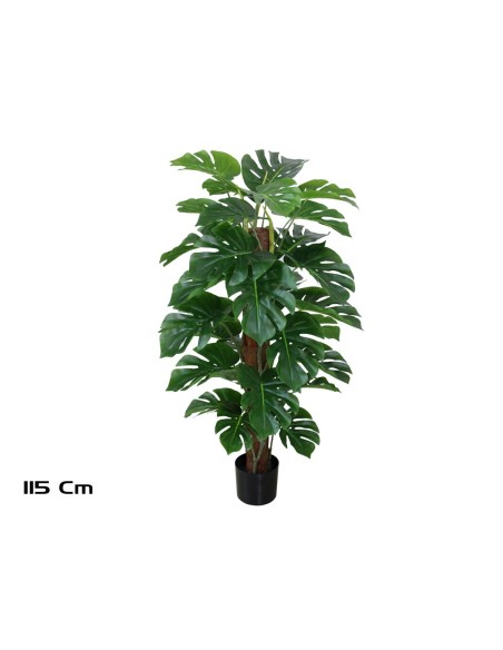 PLANTA MONSTERA X 33 T/ COCO 115 CM