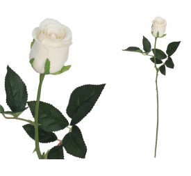VARA CAPULLO CLASIC - 65CM (BEIG)