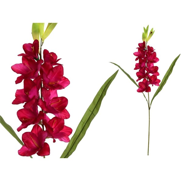 VARA GLADIOLO (A) X 12-98 CM (FUCSIA)