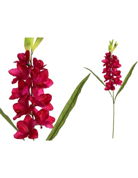 VARA GLADIOLO (A) X 12-98 CM (F