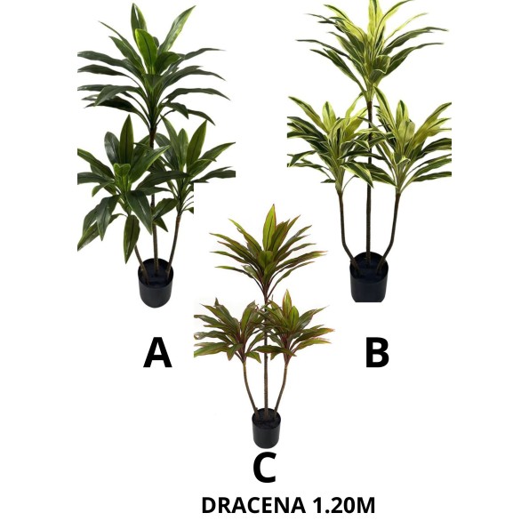 ARBOL DRACENA 120CM