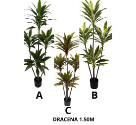 ARBOL DRACENA 150CM