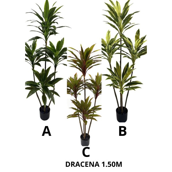 ARBOL DRACENA 150CM