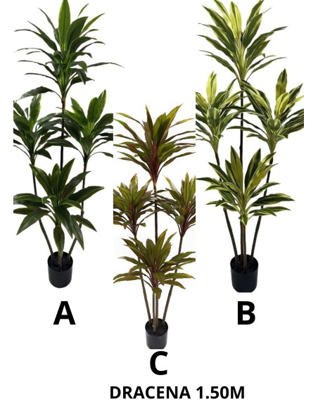 ARBOL DRACENA 150CM