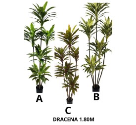ARBOL DRACENA 180CM