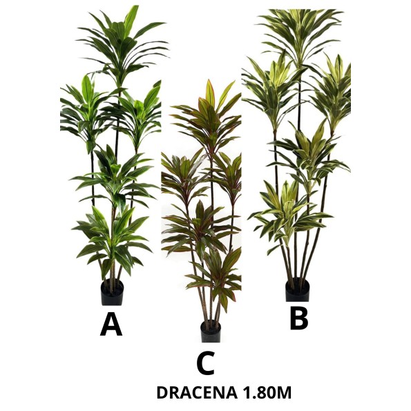 ARBOL DRACENA 180CM