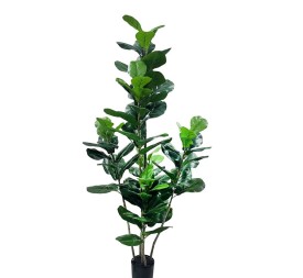 ARBOL HIGUERA 150 CM