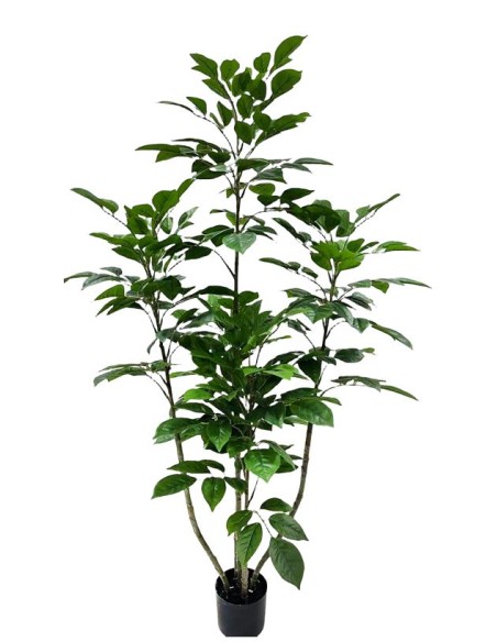 ARBOL FICUS VERDE 160CM ARBOL FICUS VERDE 160CM