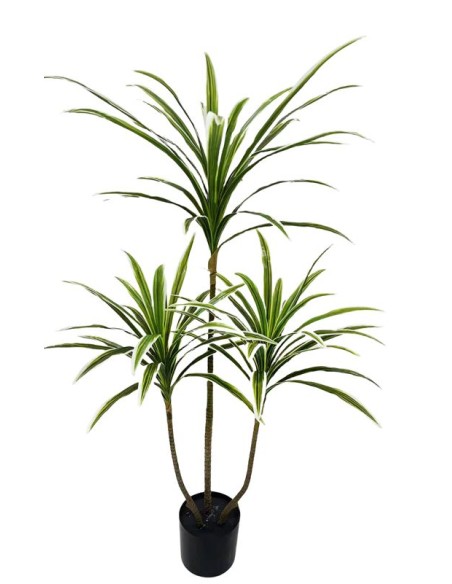 ARBOL DRACENA 3 TRONCOS 120 CM