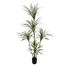 ARBOL DRACENA 5 TRONCOS 150CM